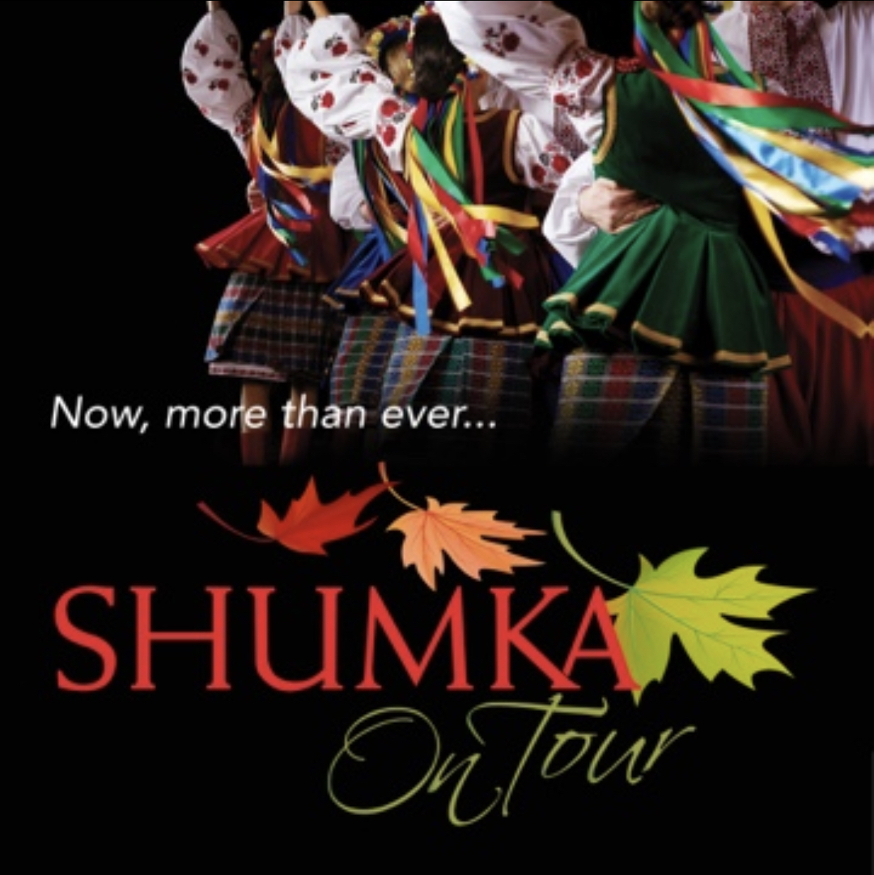 Shumka on Tour