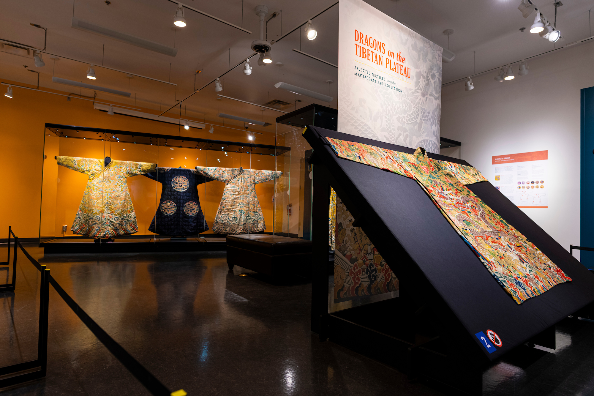 022620Mus-Dragons010 copy (1)