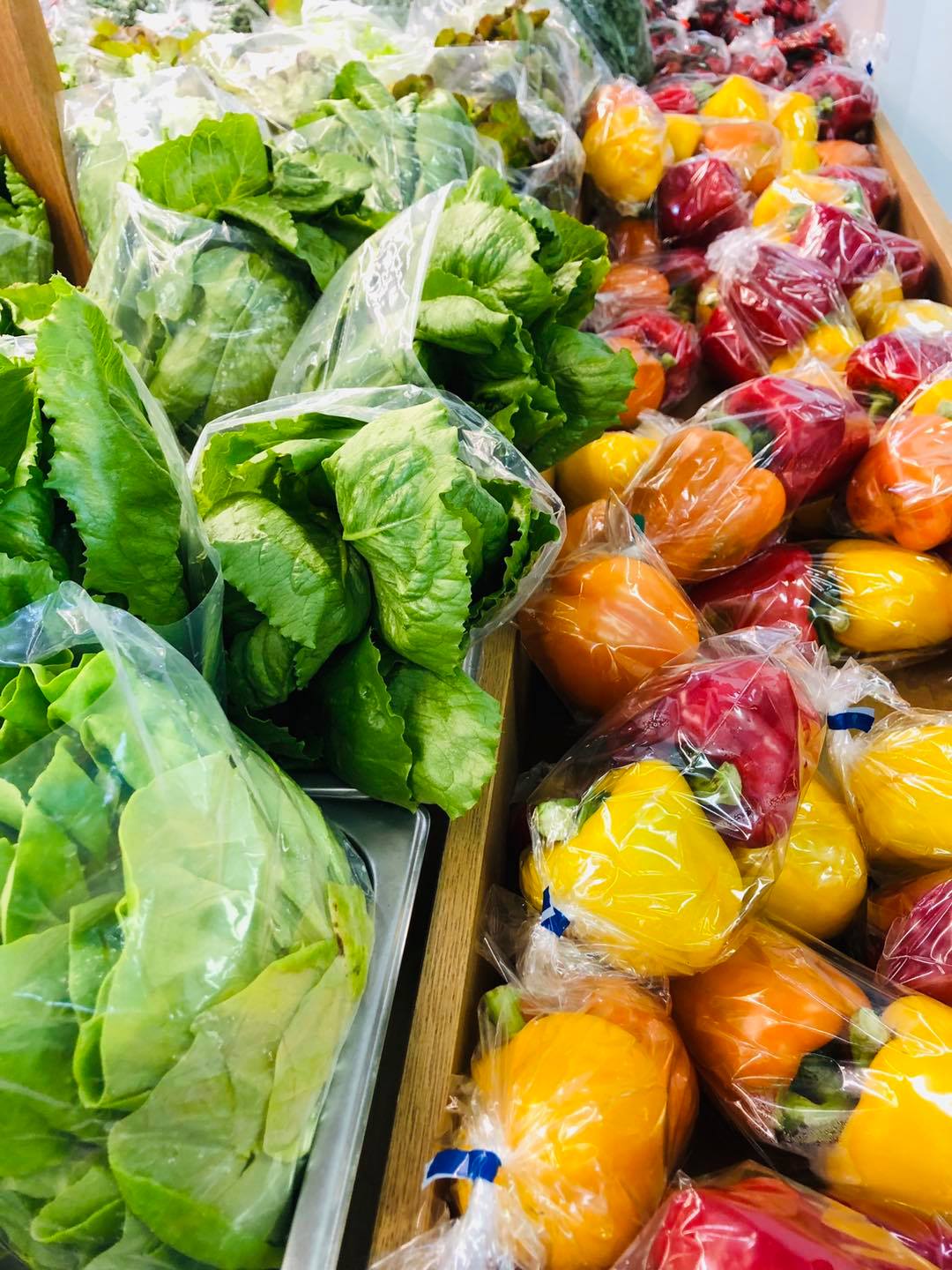 133804089_10160543061956632_8128747973933450114_o