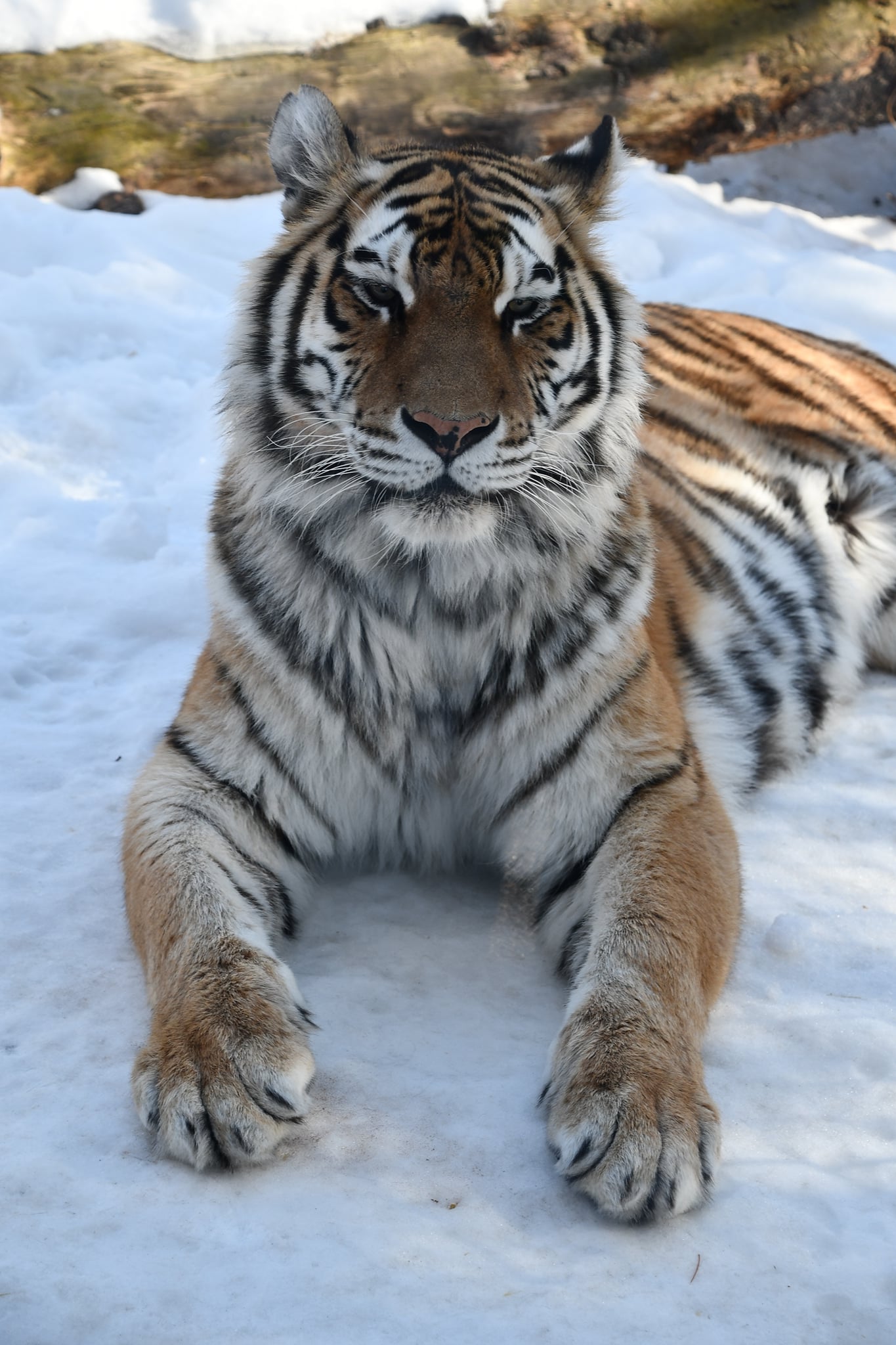 145030493_4986873621384519_1135463895181411683_o