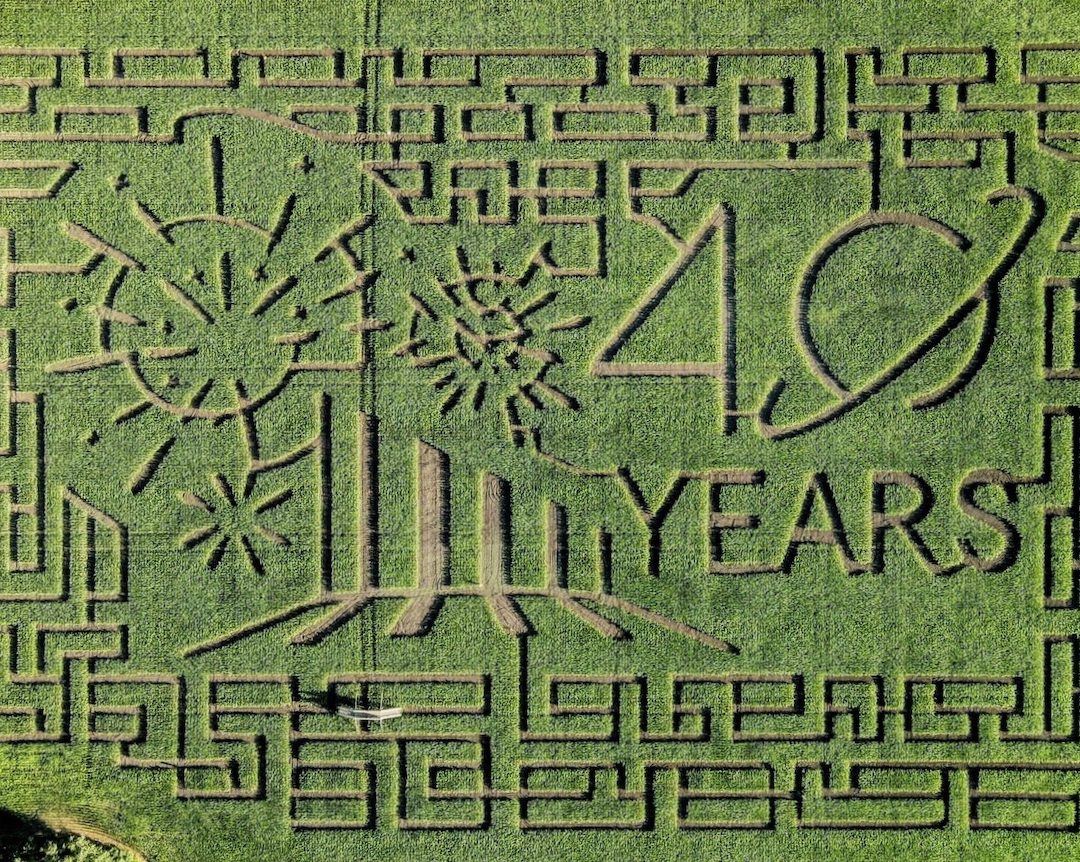 Get Lost in the Edmonton Corn Maze | Edify.