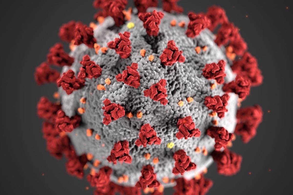 22937340_web1_201007-RDA-The-latest-numbers-on-COVID-19-in-for-Oct.7-coronavirus_1