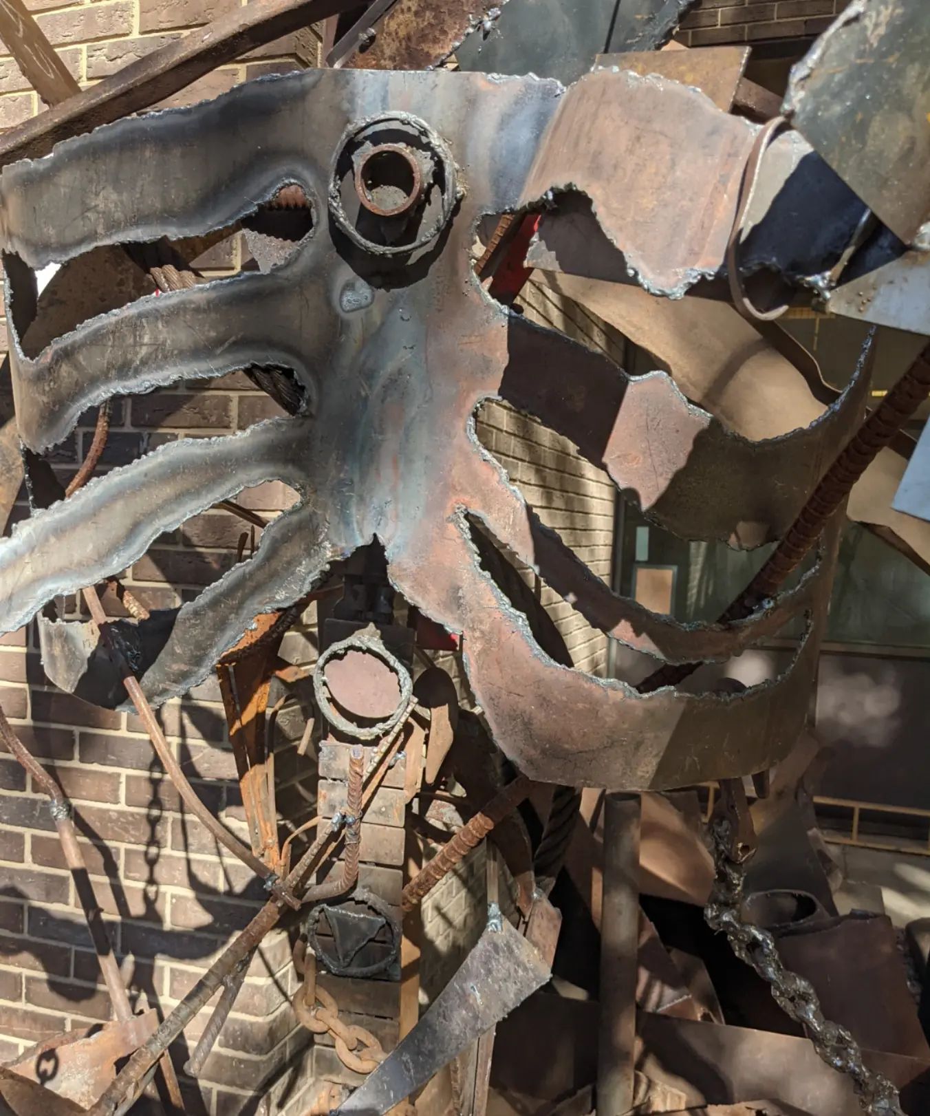 244510001_392502209247487_6708883464639325864_n