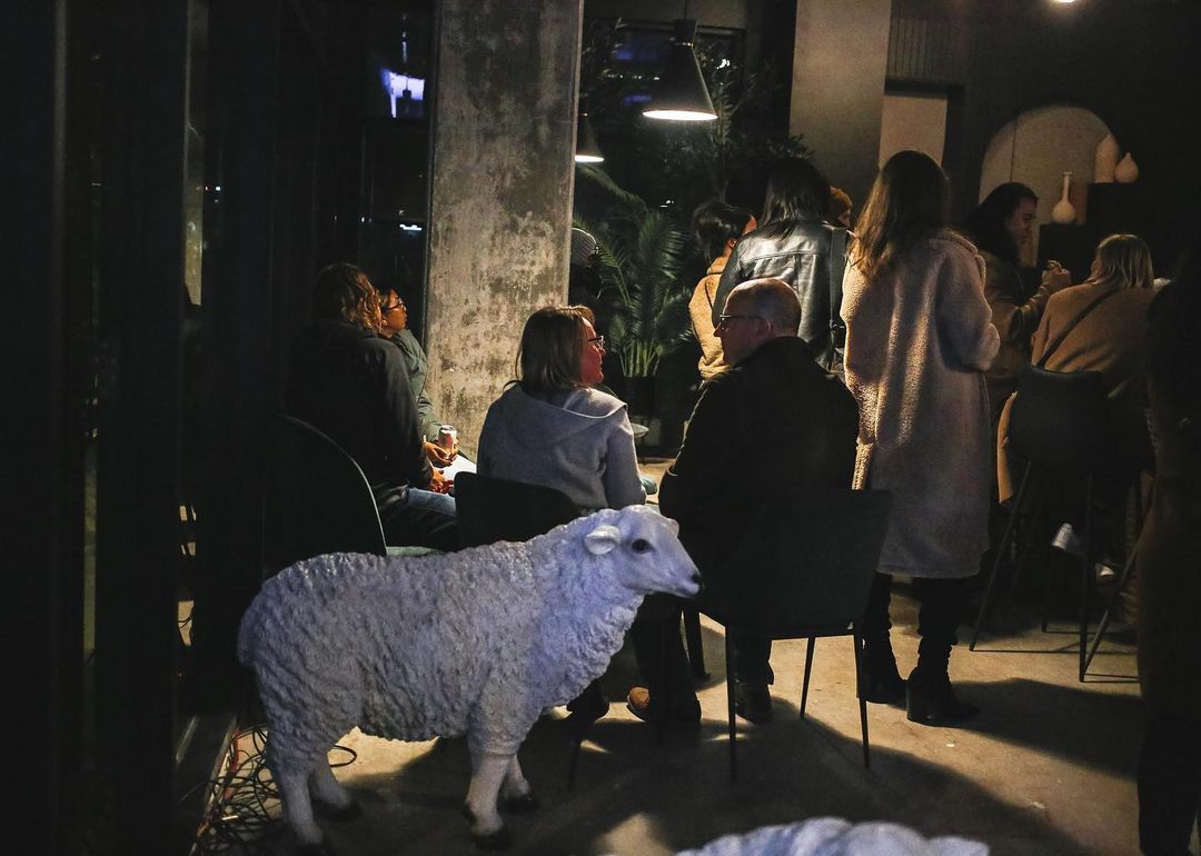 291360225_182879774114968_7045374799564784554_n