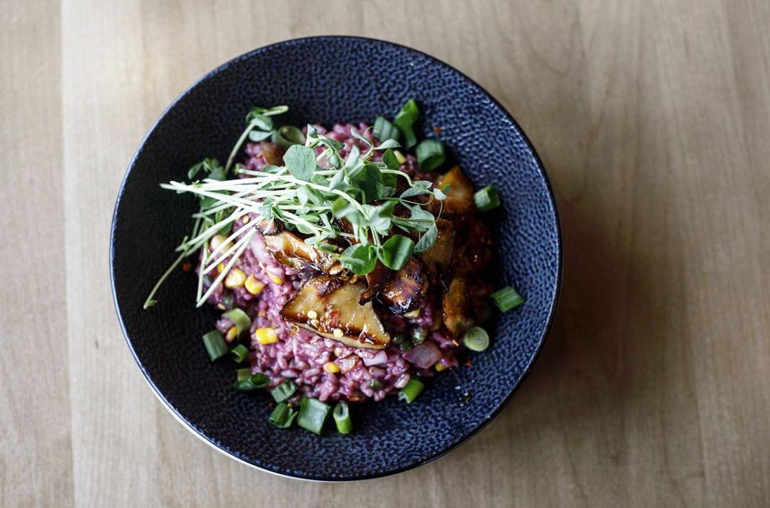 30725033_2091381744442792_5854449116356018176_n