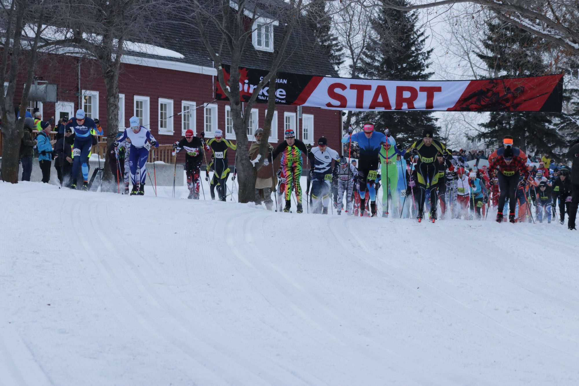 Birkie Festival Birkie Festival