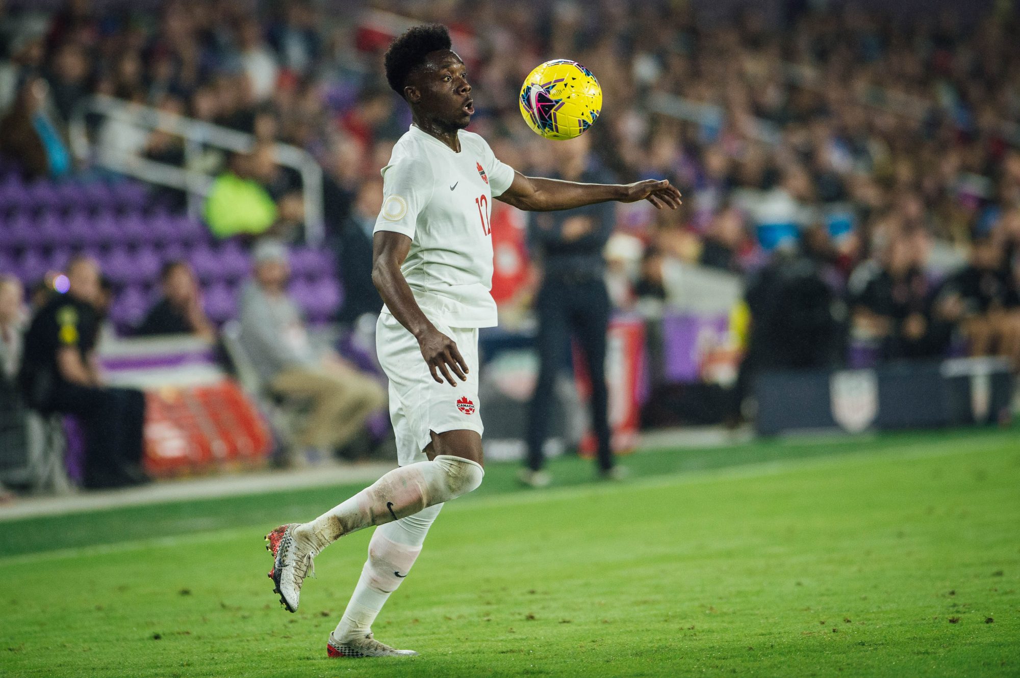 49075473253_d93281475c_o