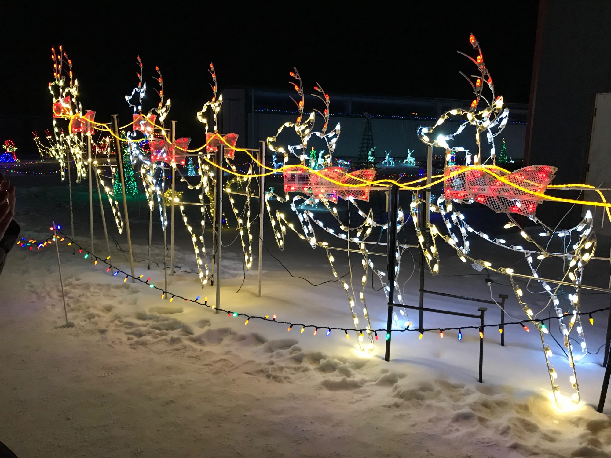 49307425377_4b589e7b3d_o