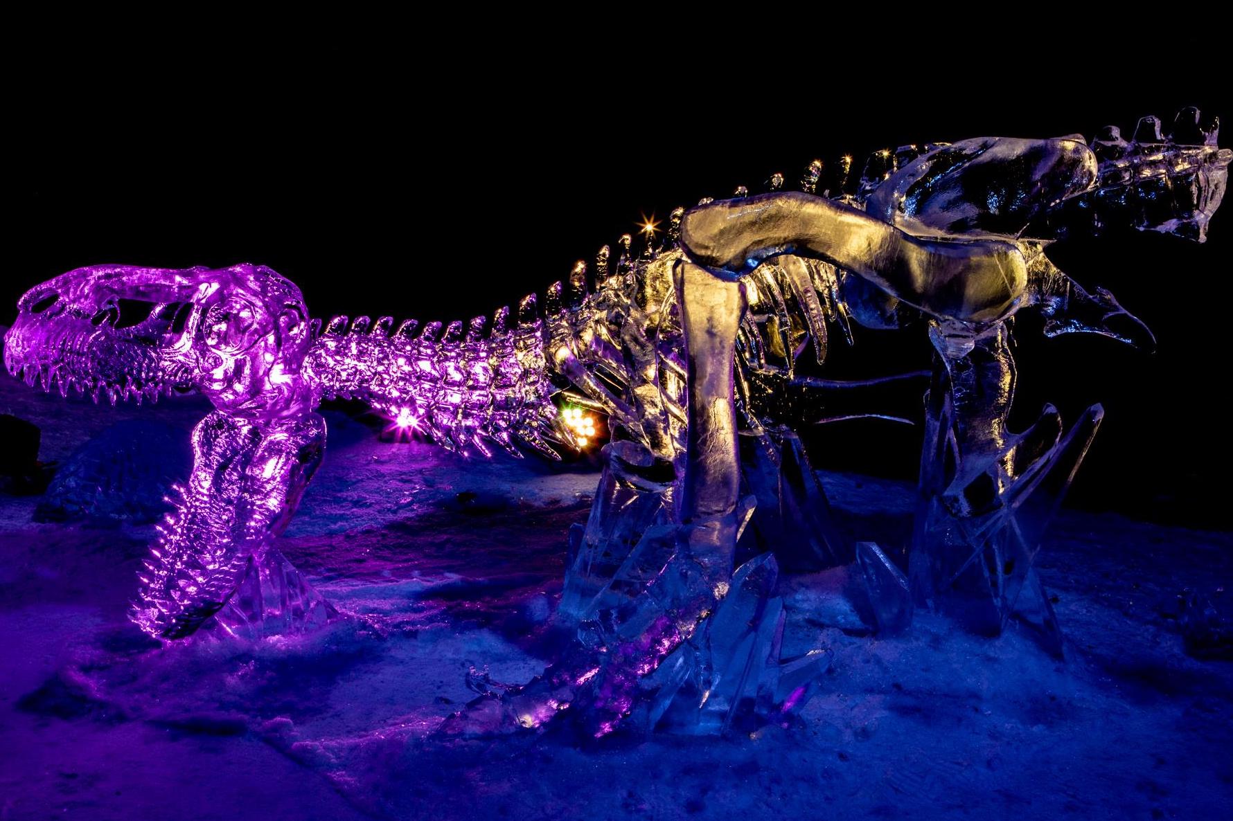 50683977_10156263375484247_2222461596460908544_o