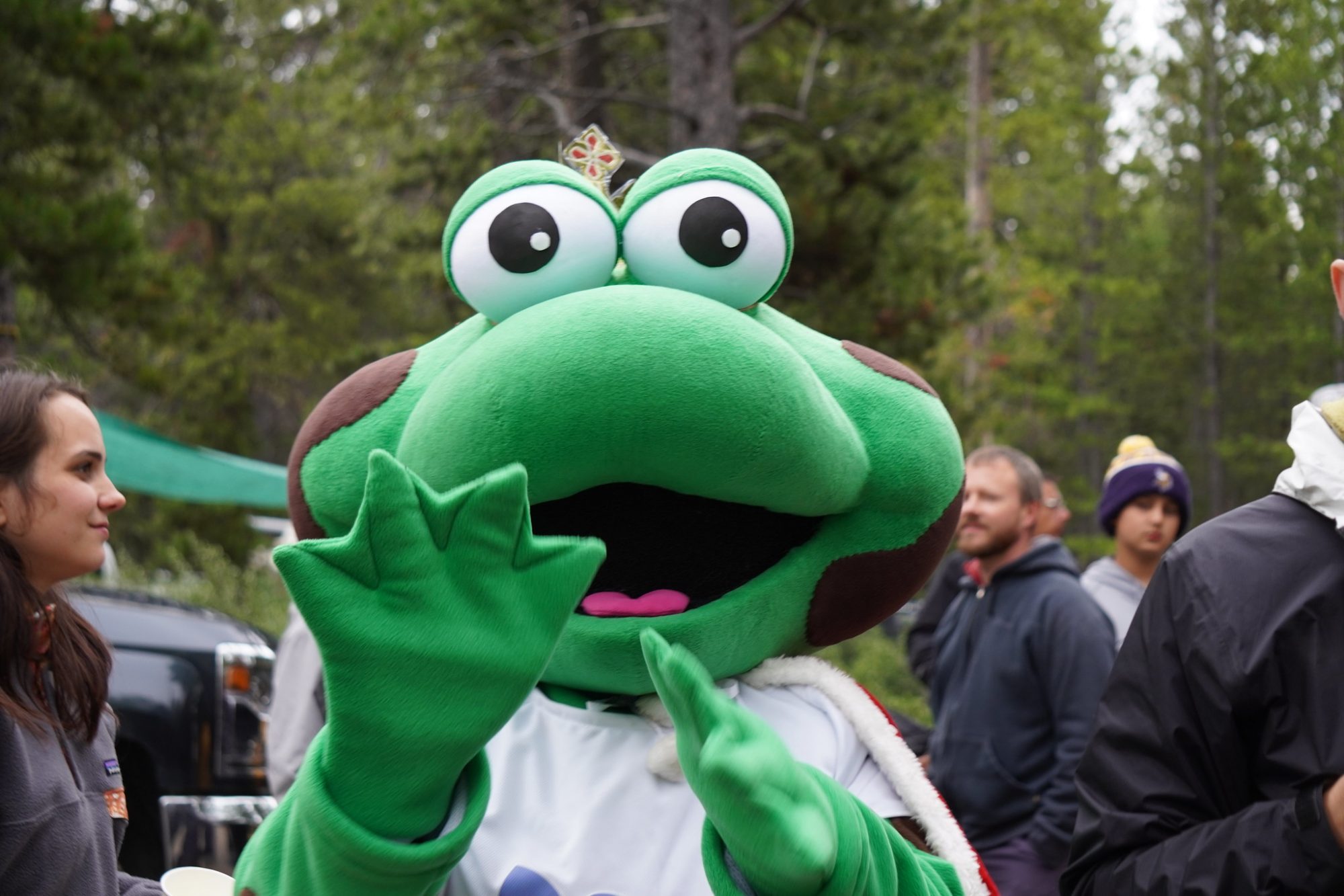 50954065672_18ed197549_k