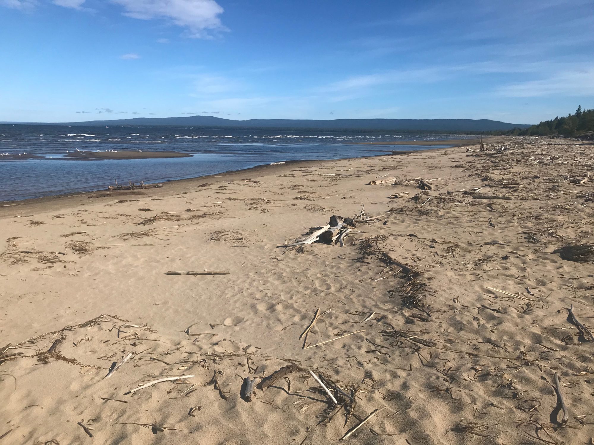 Weekend Trip Devonshire Beach on Lesser Slave Lake Edify.