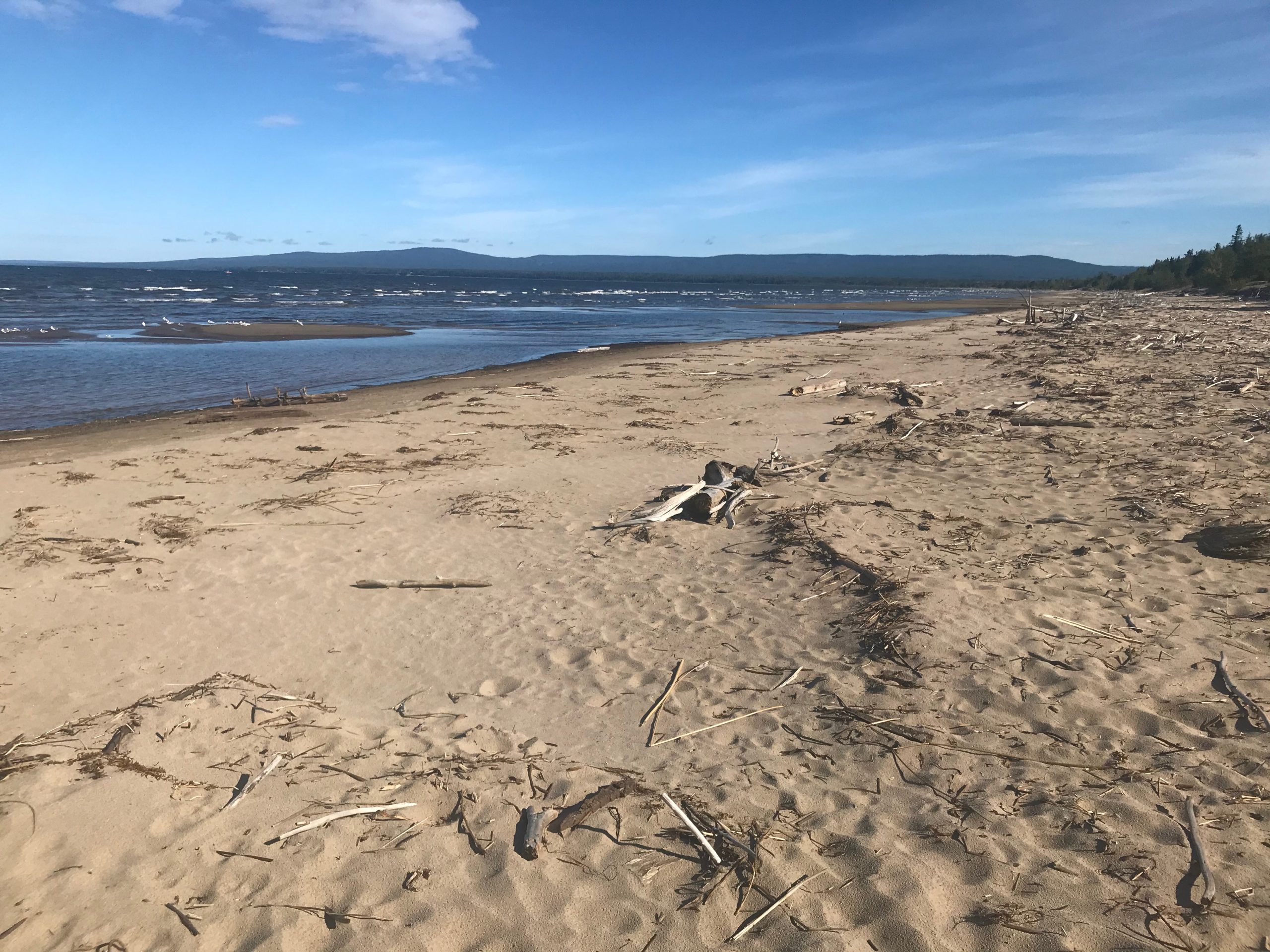 Weekend Trip Devonshire Beach on Lesser Slave Lake Edify.