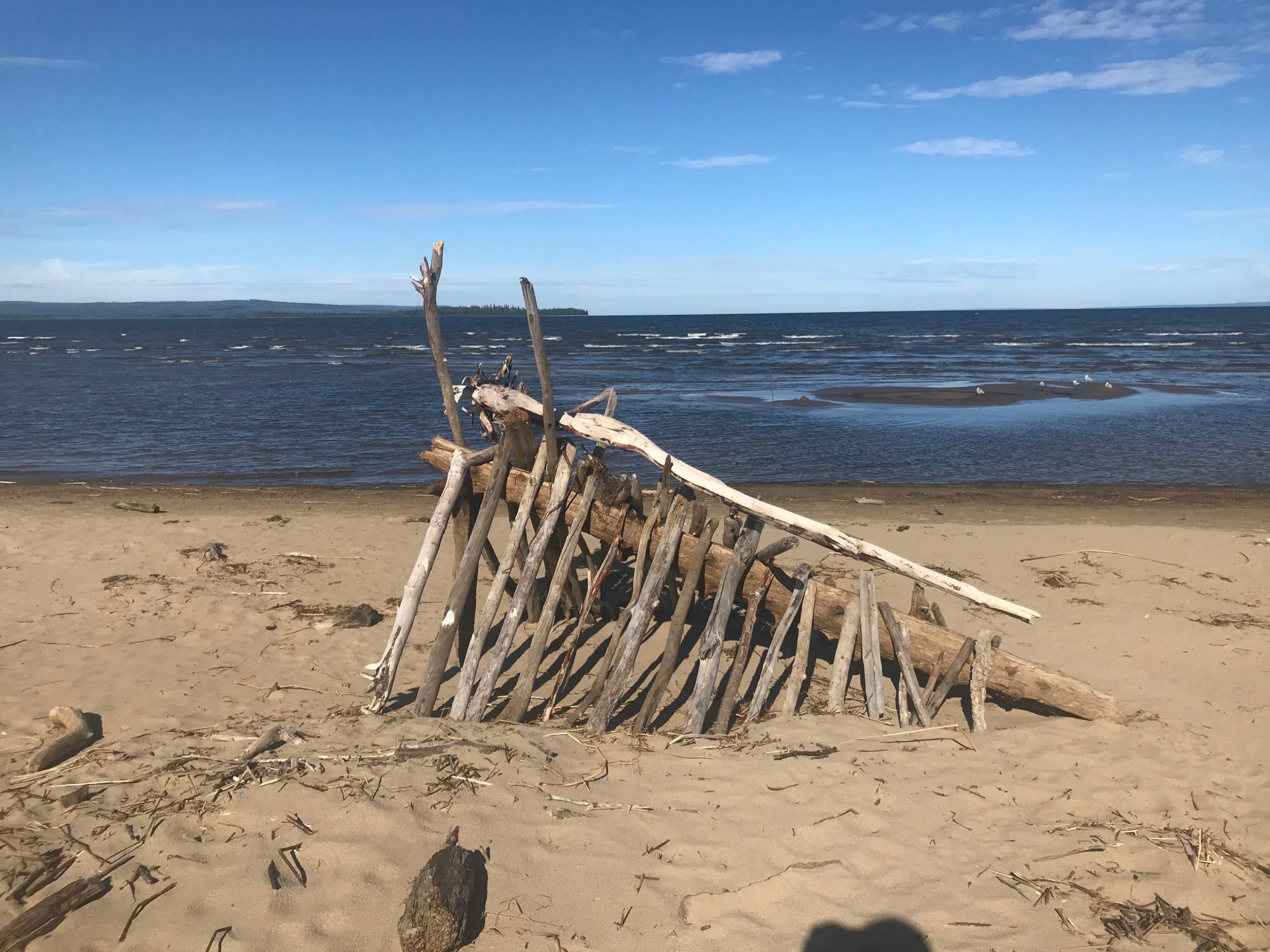 51410621487_8c6c14873c_o