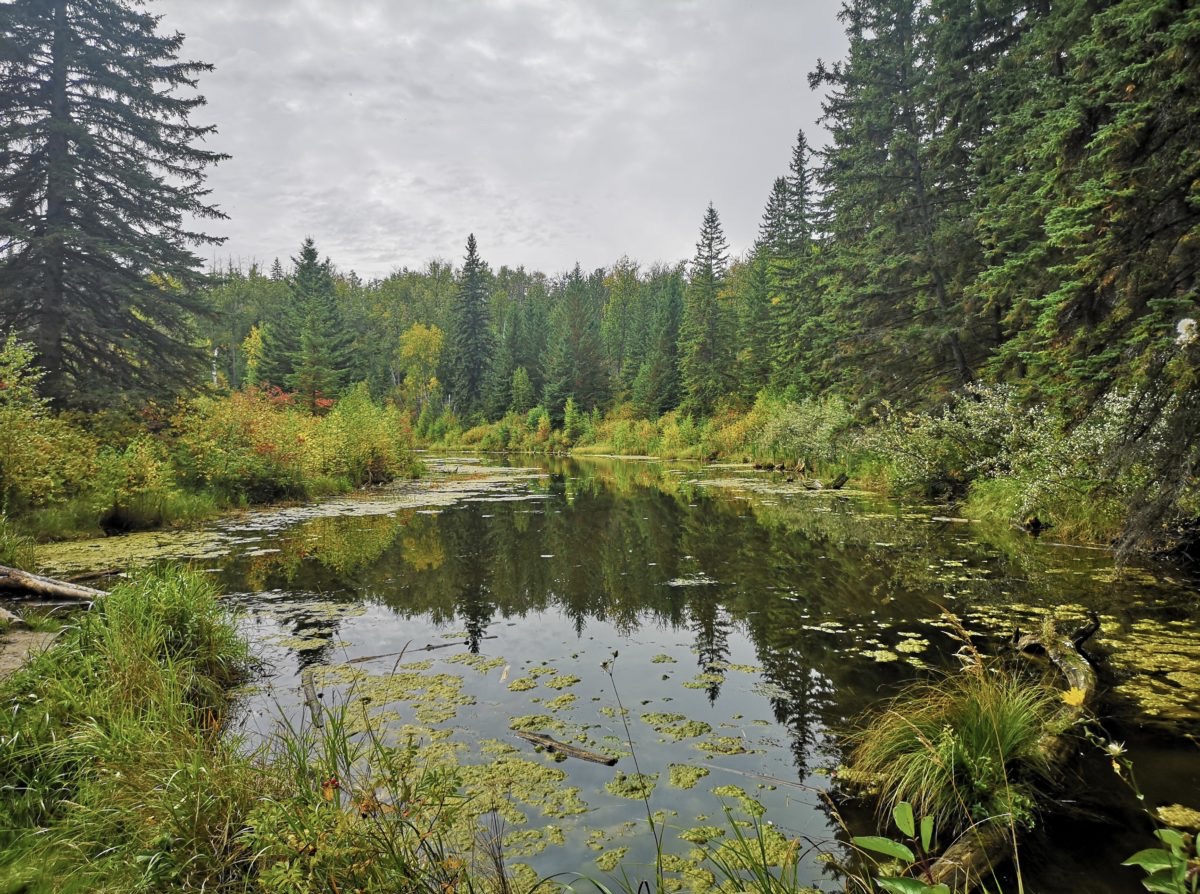 5283FF67-6438-4C1B-B43F-CCF4697CACC9_1_201_a