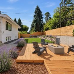 5_Backyard