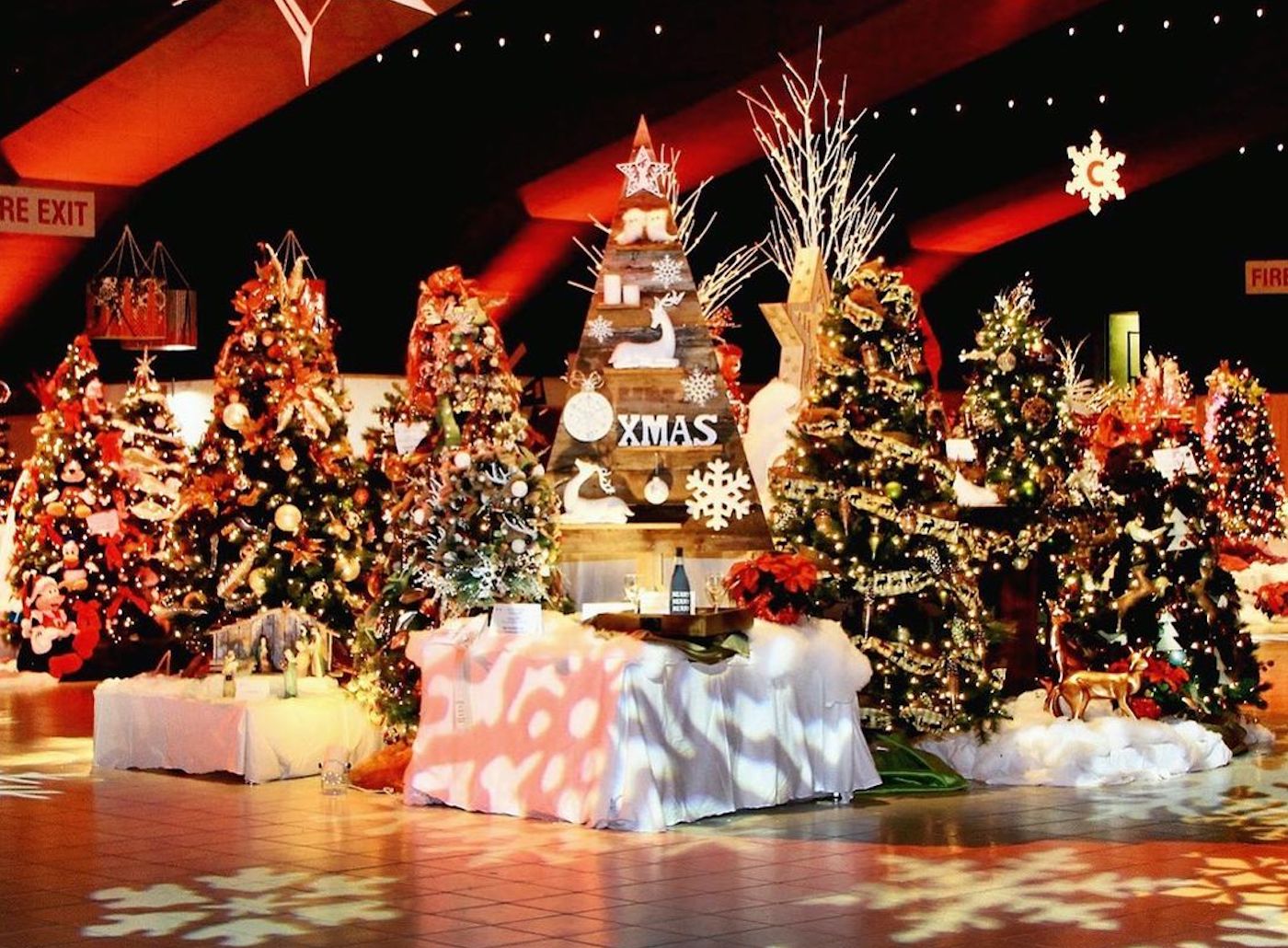 73527681_207141073646655_6940300023491270535_n