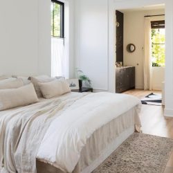 7_PrimarySuite