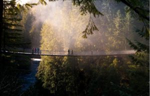 AE_Swoop-Capilano_PurchasedStockGetty_08-18