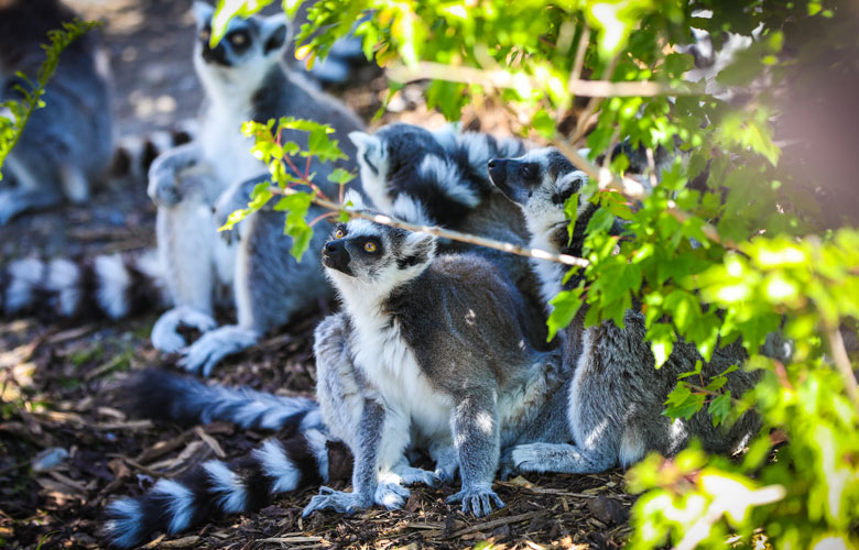 AE_TourismCalgary_780x500_07-17