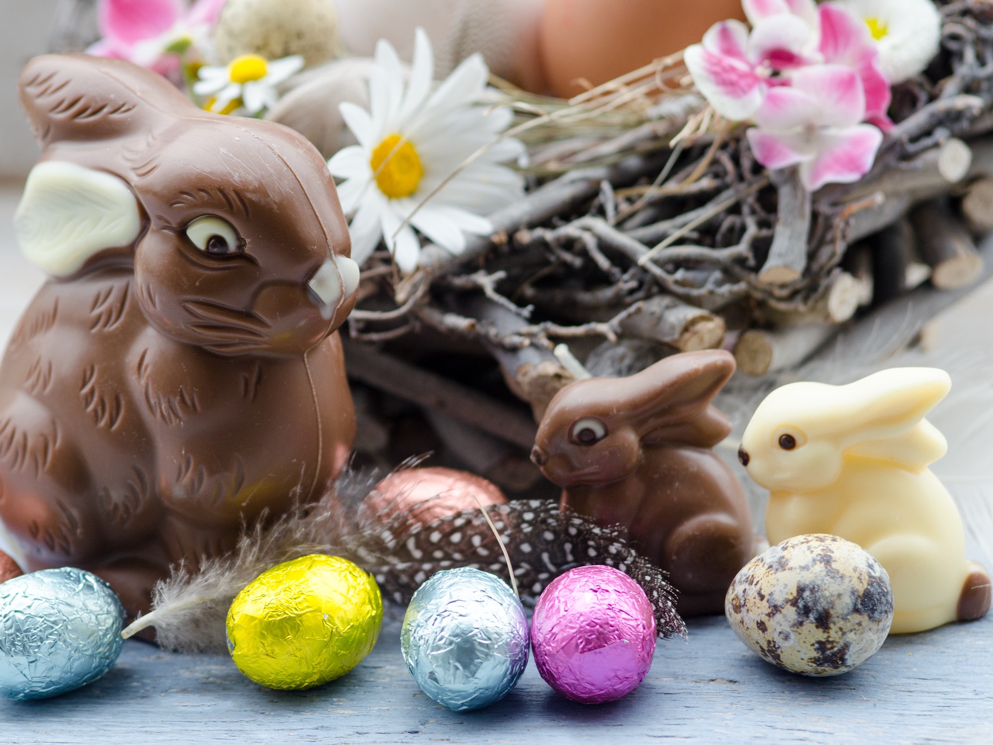 Happy Easter: nest with Easter eggs, feathers, flowers and chocolate bunnies :)