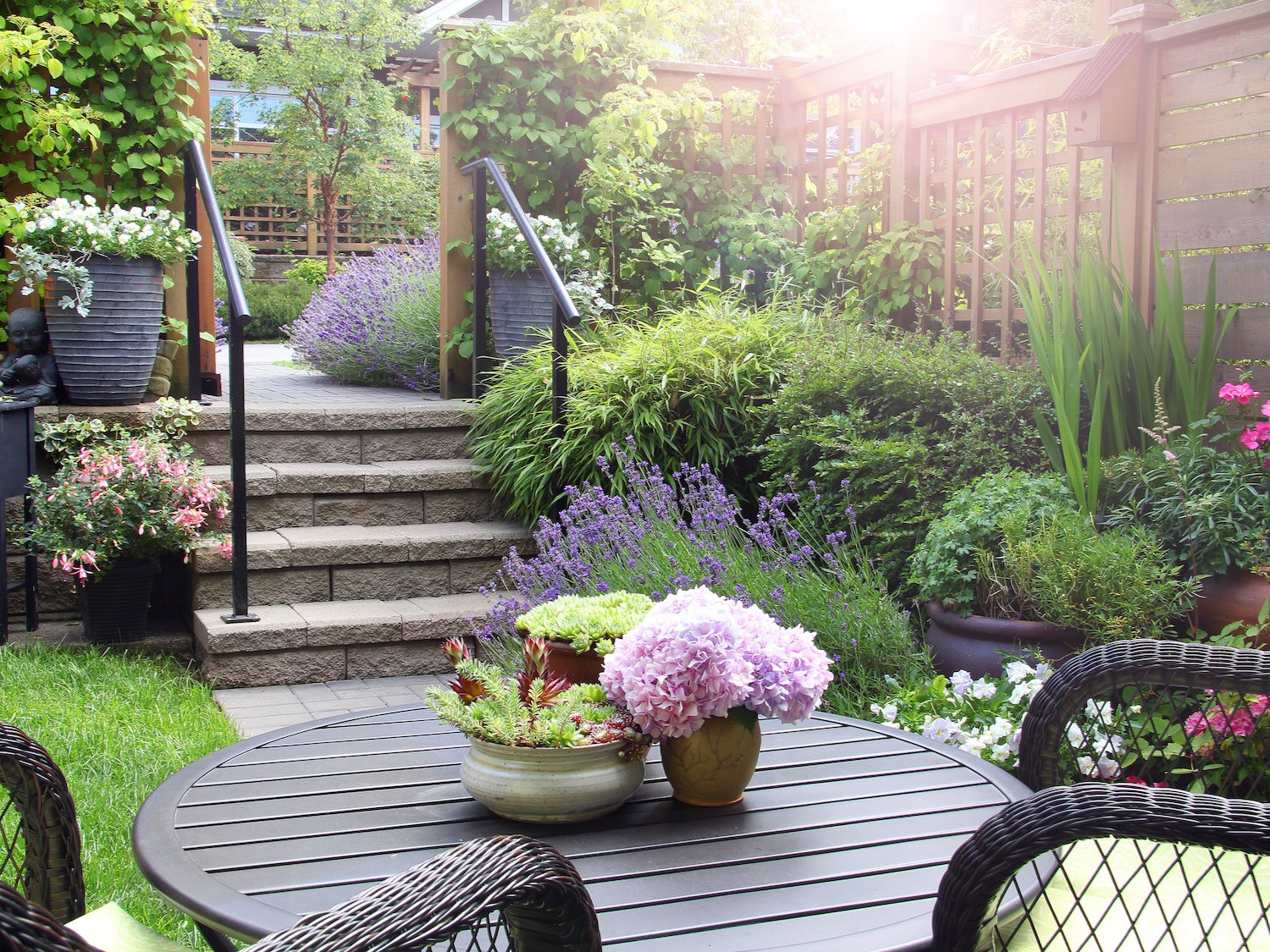 garden
