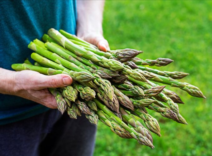 Ingredient: Asparagus