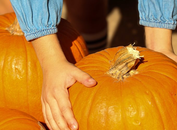 25 Things to Do in October 2026
