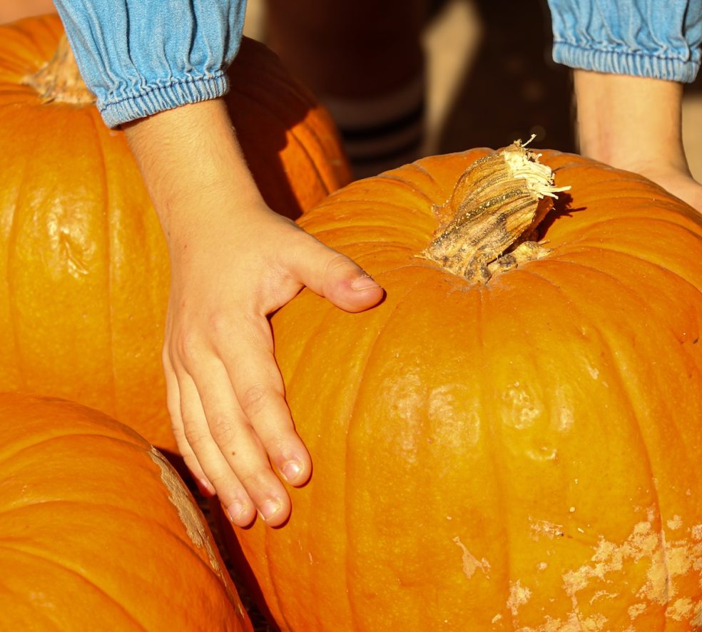 25 Things to Do in October 2026