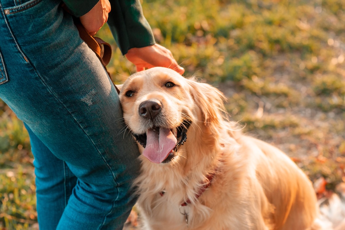 AdobeStock_341735787