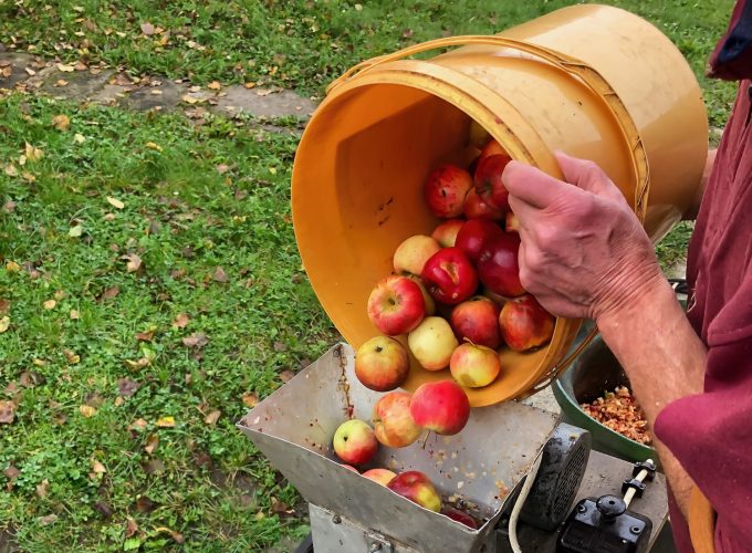 Squeezing Your Backyard Apples