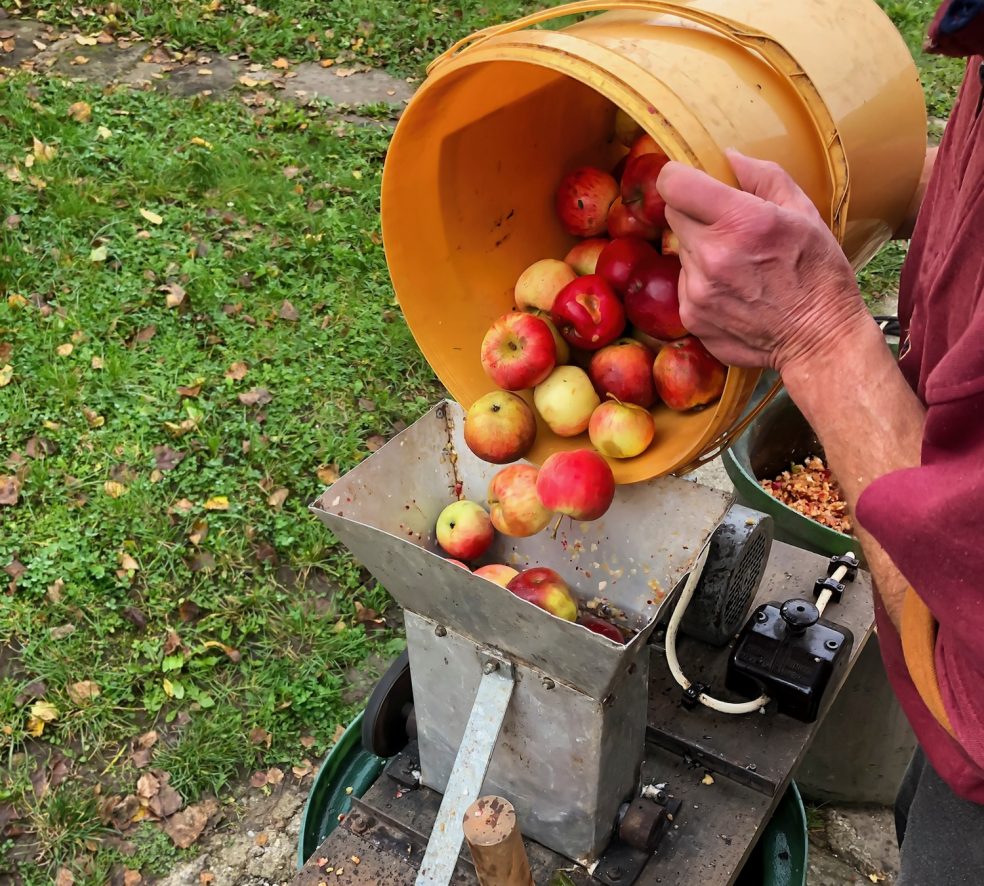 Squeezing Your Backyard Apples