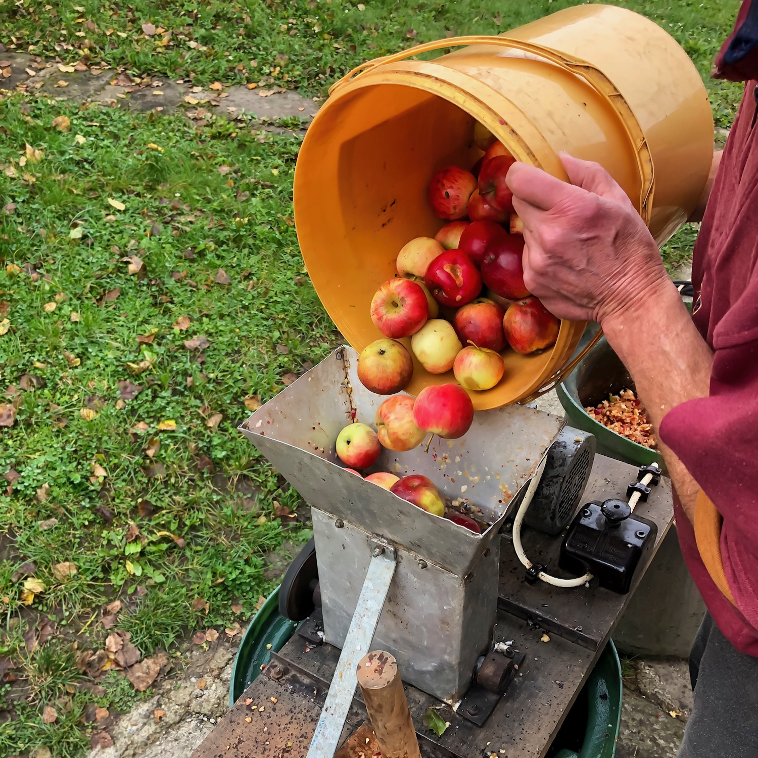 Pressing apple juice