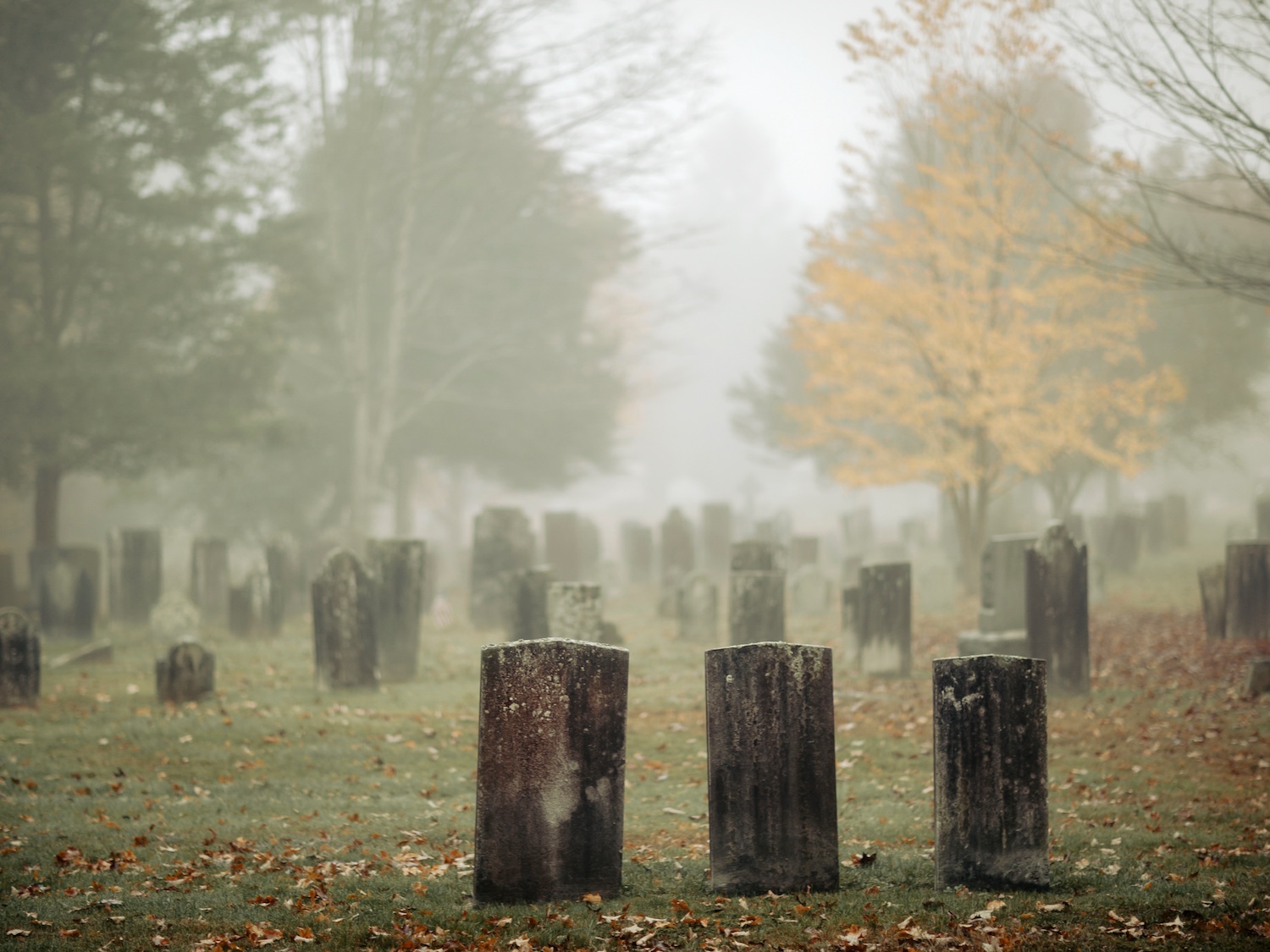 foggy-graveyard