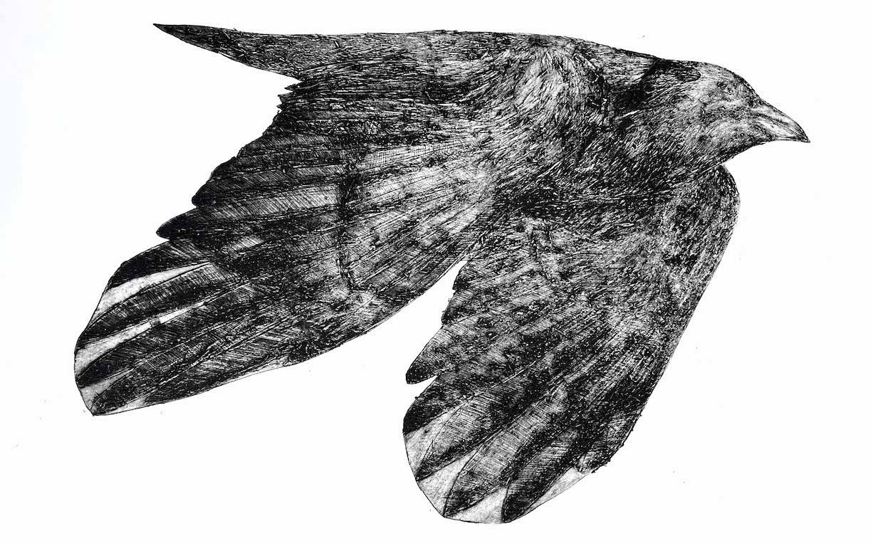 American Crow, 2023, Collagraph web small