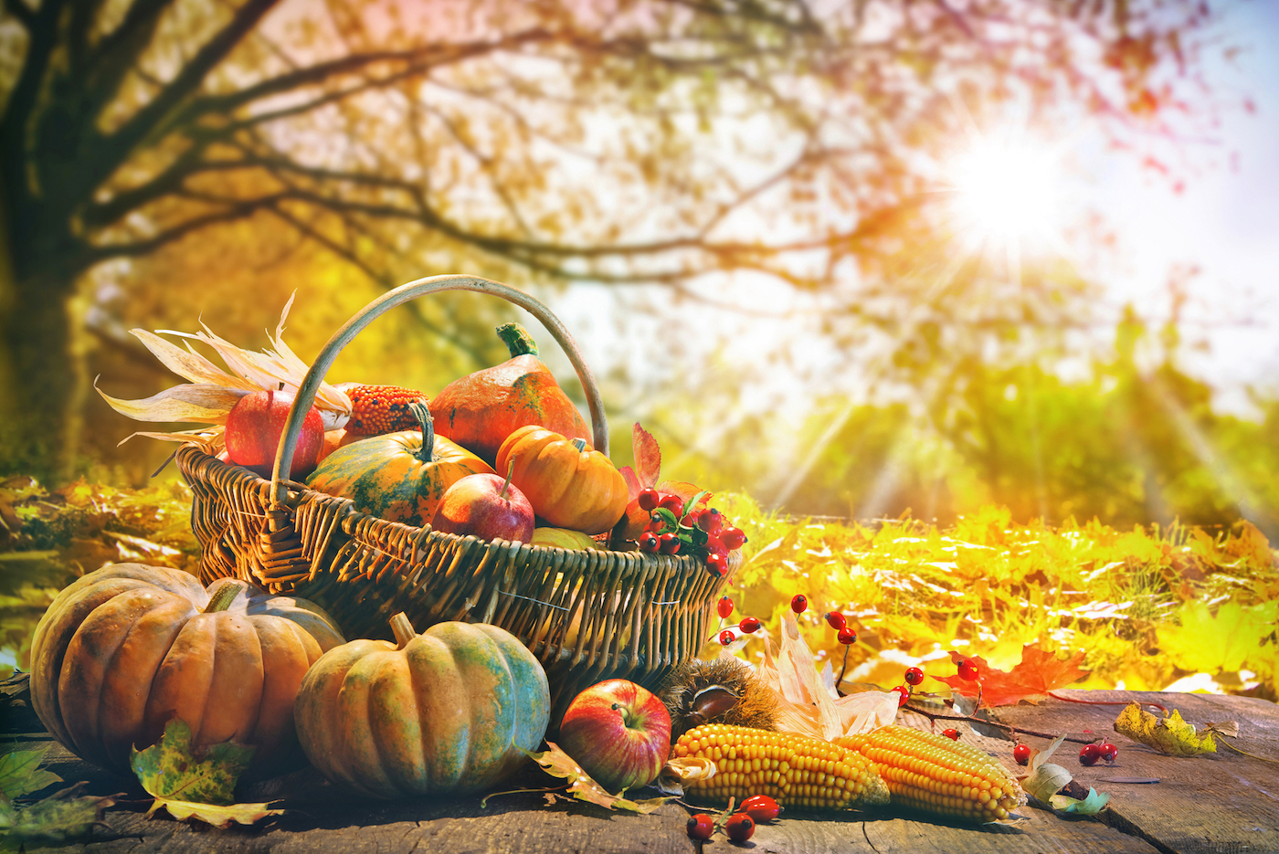 fall-harvest-market-edify