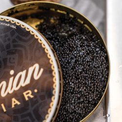 BR_Atrium_Open Tin of Caviar