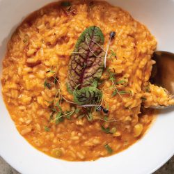 BR_Sabor_RedLentil Curry