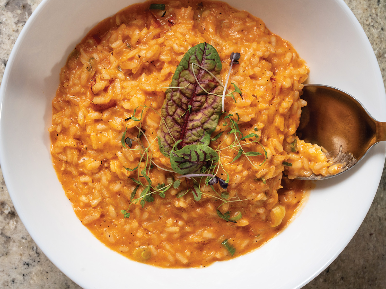 BR_Sabor_RedLentil Curry
