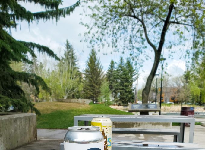 Take it Outside: Drinking in the Parks