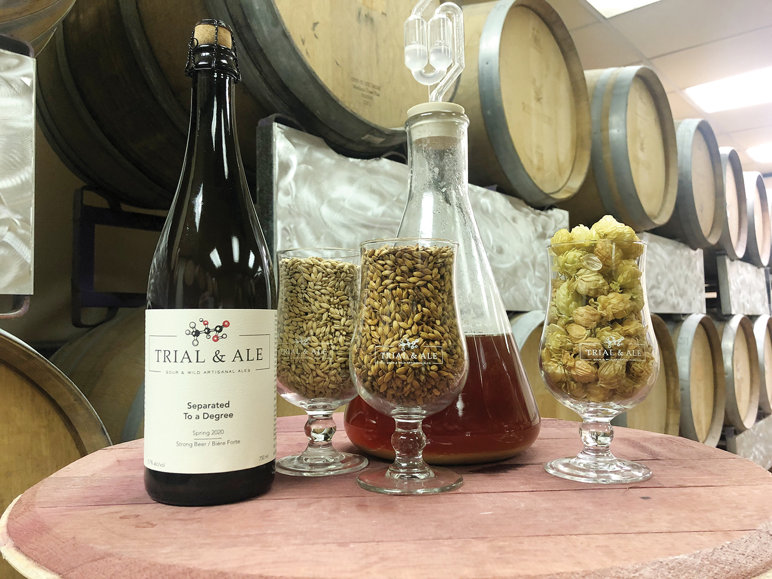 Beer_Trial&Ale_Bottle_Grains_Hops