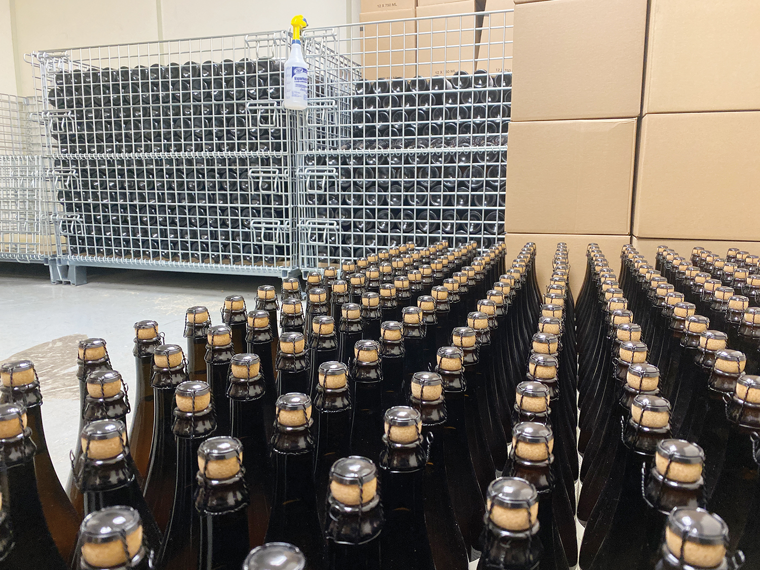 Beer_Trial&Ale_BottlesAndBottlesOfBeer