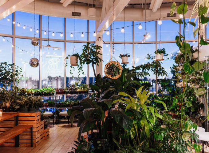 Tropical Plant Shop Offers Urban Escape on 127 Street