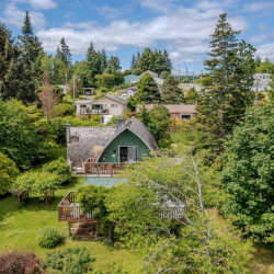 Campbell River aerial