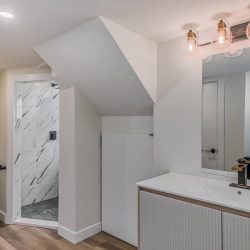 Canora basement bathroom