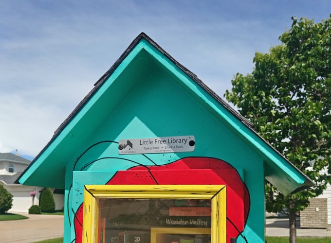 Cute and Creative Little Free Libraries
