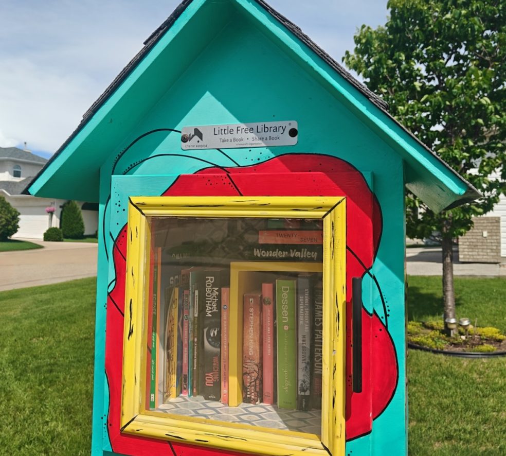 Cute and Creative Little Free Libraries