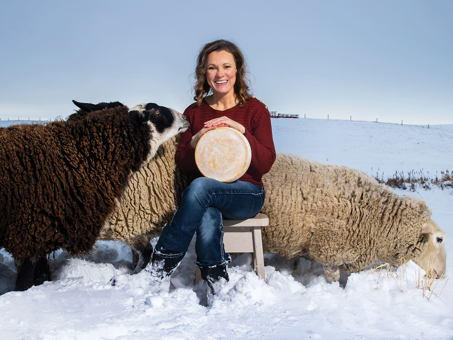 Cheesiry_RhondaZukHeadon_SittingInFrontof2Sheep