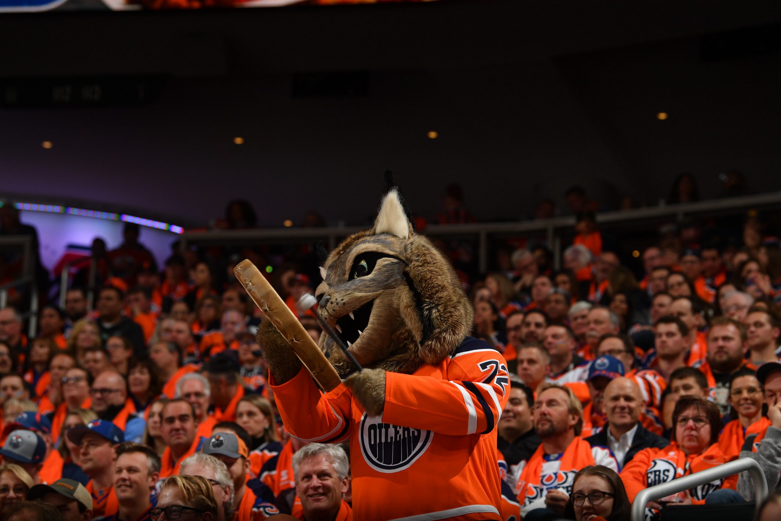 Everyone's a critic as Oilers unveil new mascot, Hunter the Canadian lynx