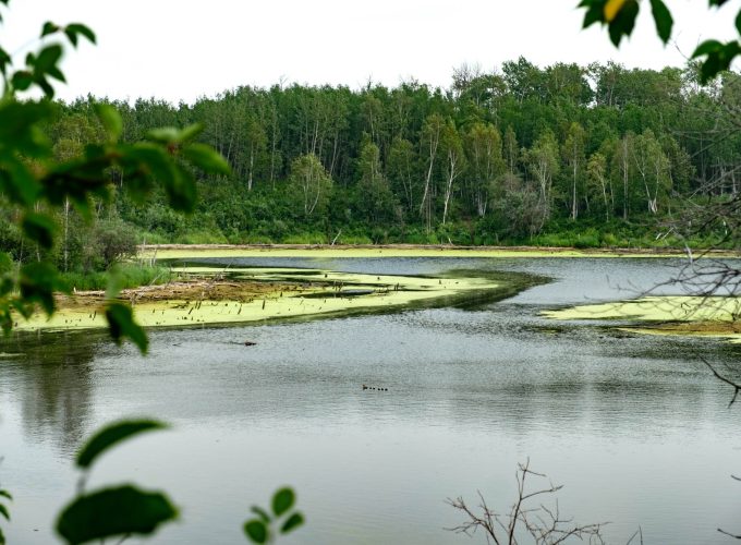 Edmonton’s Closest Saltwater Lake