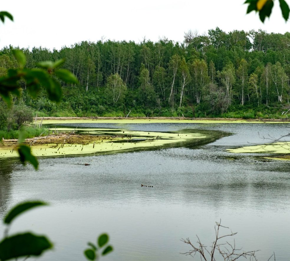 Edmonton’s Closest Saltwater Lake